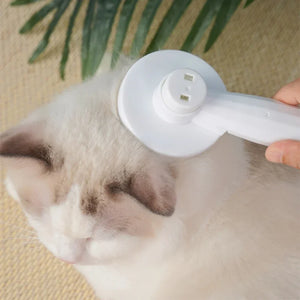 Cat Hair Cleaning