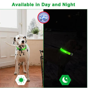 USB Rechargeable Luminous Collar Adjustable Led Glowing Dog Collar for Large Small Dogs Cat Night Light Collar Pet Safety Harnes