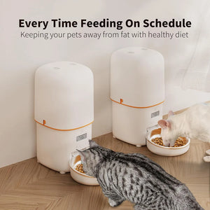 Smart Pet Feeder